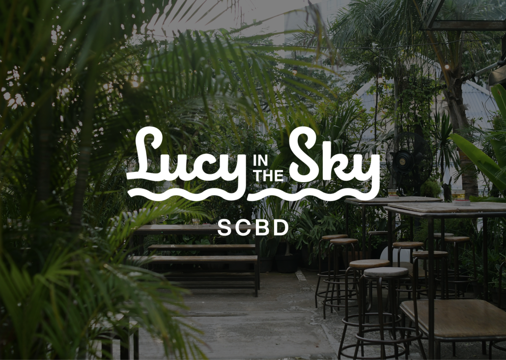 Lucy in the Sky SCBD – Lucy Group